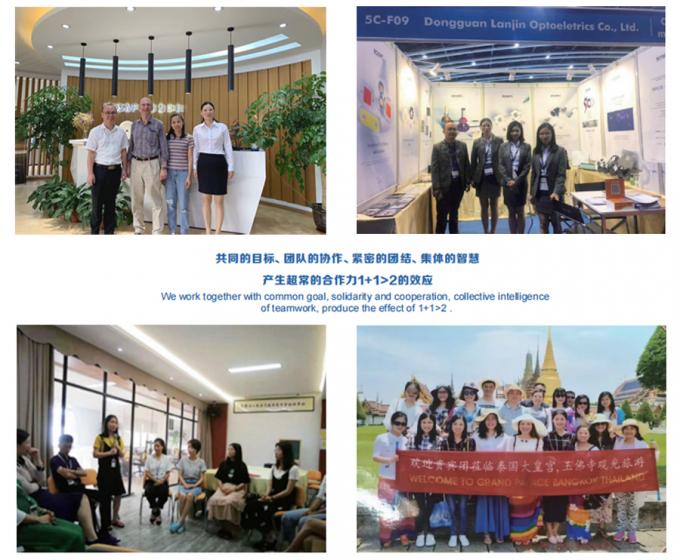 China Dongguan Lanjin Optoelectronics Co., Ltd. company profile 0