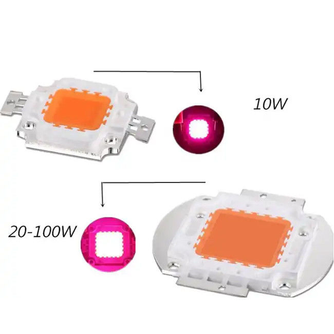 10W 30W Indoor LED Grow Light High Power LED COB Full Spectrum 0