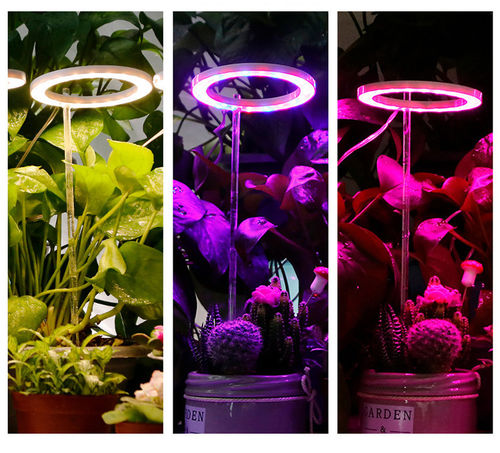 How does LED affect plants grow ?